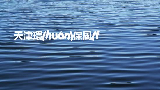 天津環(huán)保風(fēng)暴：治污還是練內(nèi)功？